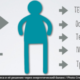 Проблема лишнего веса – насколько её решение взаимосвязано с энергетическим балансом