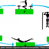 Круговая тренировка в домашних условиях поможет сбросить лишние килограммы