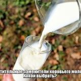 Рослинні замінники коров’ячого молока. Який вибрати? 