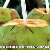Чи можна кокосовою водою замінити звичайну воду?
