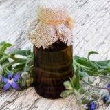 Масло семян огуречника: почему этот ингредиент может стать вашим новым спасителем сухой кожи
