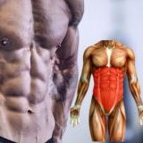 Тренуємо м’язи кора: чому ви повинні зміцнювати ці м'язи?
