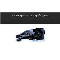 Багіра салон краси